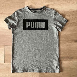 プーマ(PUMA)のPUMA Tシャツ(Tシャツ/カットソー)