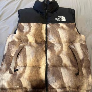 シュプリーム(Supreme)の2013A/W supreme×tnf ダウンベスト M(ダウンベスト)