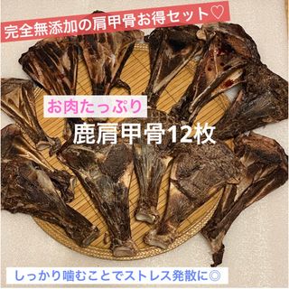 鹿骨ジャーキー セット 鹿肩甲骨