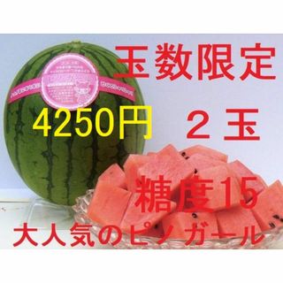 4250円・2玉入り「すいかランキング第1位」「ピノガール」種まで食べられます(フルーツ)