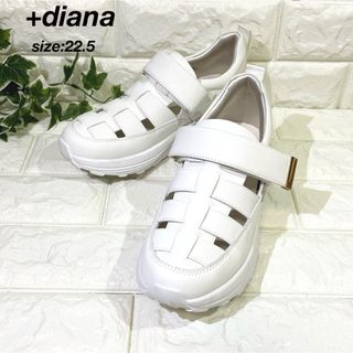 ダイアナ(DIANA)の【極美品✨】+diana プラスダイアナ グルカスニーカー サンダル グリッター(スニーカー)