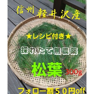 採れたて新鮮♪︎信州軽井沢産 上質赤松松の葉300g 松葉茶松ジュース 松葉(野菜)