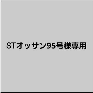 STオッサン95号様専用ページ(その他)