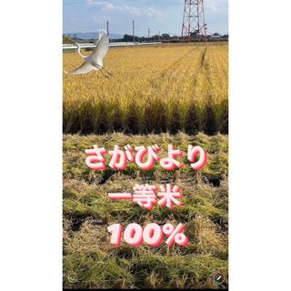 ⭐️新米 令和5年産1等米⭐️佐賀県産さがびより20k(5k×4袋)