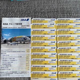 エーエヌエー(ゼンニッポンクウユ)(ANA(全日本空輸))のクレア様専用　株主優待券　冊子付き　匿名発送　即日発送(航空券)