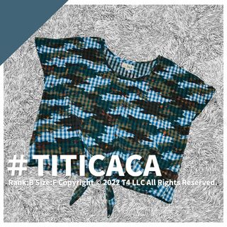 チチカカ(titicaca)のTITICACA トップス フリーサイズ 柄 チェック ドルマン ✓2139(Tシャツ(長袖/七分))