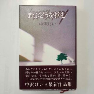 講談社 - 野ぶどうを摘む　中沢けいし