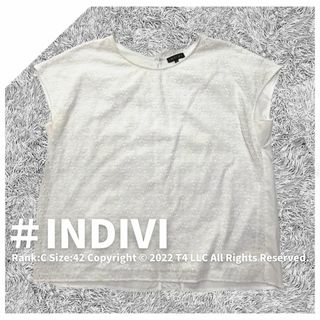 インディヴィ(INDIVI)のINDIVI　半袖カットソー　白　レース　春夏　サイズ42　XL ✓1995(Tシャツ(長袖/七分))