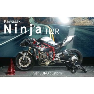 タミヤ Kawasaki H2-R Ver.EORO custom 完成品(プラモデル)