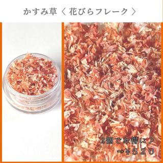 No.305 かすみ草　花びらフレーク　オレンジ　橙　ドライフラワー(ドライフラワー)