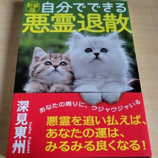 自分でできる悪霊退散(人文/社会)