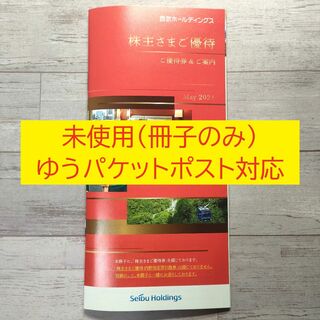 西武HD　割引券 冊子 （1000株向け株主優待）(その他)