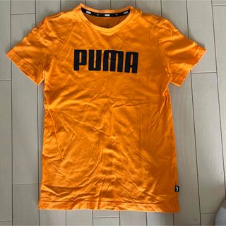 プーマ(PUMA)のPUMA Tシャツ　150(Tシャツ/カットソー)