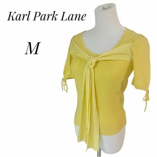 カールパークレーン(KarL Park Lane)のKarl Park Lane  カールパークレーン　サマーニット　カットソー　M(カットソー(半袖/袖なし))