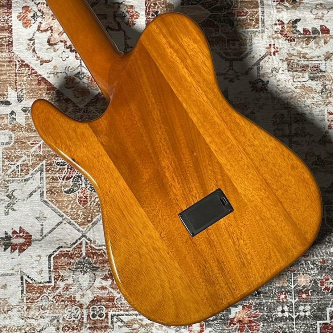 SCHECTER(シェクター)/OL-FL White【エレアコ】 【中古 SCHECTER(シェクター)/OL-FL White【エレアコ】 【中古
