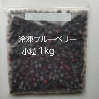 島根県産 冷凍 ブルーベリー 1kg 栽培期間中、農薬・化学肥料不使用(フルーツ)