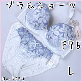 ブラジャーショーツセットF75    No.7453(ブラ&ショーツセット)