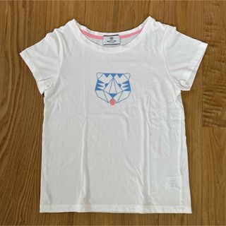 PAPIER TIGRE パピエティグル　Tシャツ(Tシャツ(半袖/袖なし))