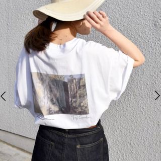 オーガニックコットン フォト ショート スリーブ TEE ships 今期　新品