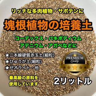 多肉植物の土 サボテンの土 多肉植物用土 塊根植物の土(その他)