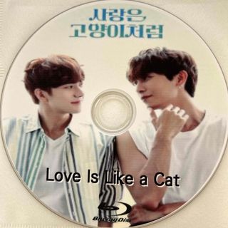 韓国BL   Love is like a cat