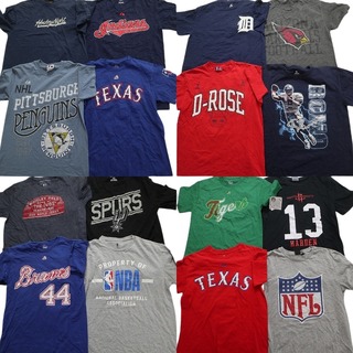 古着卸 まとめ売り プロチーム 半袖Tシャツ 16枚セット (メンズ S /M ) NHL NFL MBL プロチーム MT1936(その他)