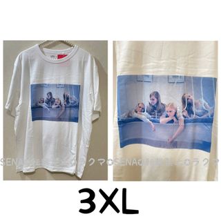 ユニクロ(UNIQLO)のユニクロ ソフィア・コッポラ 映画 ヴァージンスーサイズ Tシャツ(Tシャツ(半袖/袖なし))