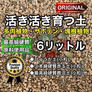 多肉植物の土 サボテンの土 多肉植物用土 塊根植物の土(その他)