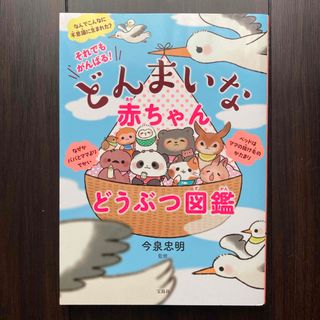 それでもがんばる！どんまいな赤ちゃん動物図鑑(絵本/児童書)