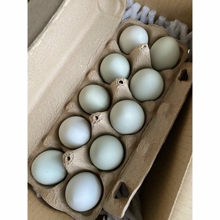 沖縄県産幸せを呼ぶアローカナの青卵20個🥚♡(その他)