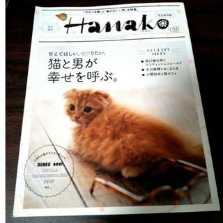 Hanako 2016年 猫と男 坂口健太郎/小関裕太/古川雄輝/猫特集(生活/健康)