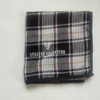 ステファノバレンチノ(STEFANO VALENTINO)のVALENTINO  バレンチノ　ハンカチ　新品未使用(ハンカチ/ポケットチーフ)