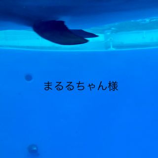 まるるちゃん様(その他)