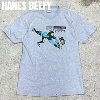 ヘインズ(Hanes)の＊7614 HANES BEEFY ヘインズ　USAV 2001 Tシャツ(Tシャツ/カットソー(半袖/袖なし))