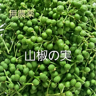 【数量限定】完全無農薬　山椒の実　300g(野菜)