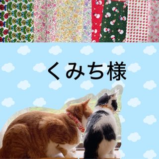 猫首輪  すいかリボン ＋セーフティバックル  ⑩-RB6-2(リード/首輪)