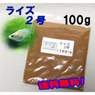 めだか の 餌 エサ◇ライズ２号 １００ｇ◇メダカ の えさ☆ 愛好家御用達①