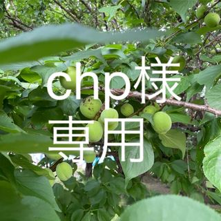 【chp様】完熟発送　10キロ