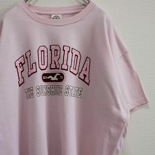 デルタ(DELTA)の00's FLORIDA "THE SUNSHINE STATE" 古着Tシャツ(Tシャツ/カットソー(半袖/袖なし))