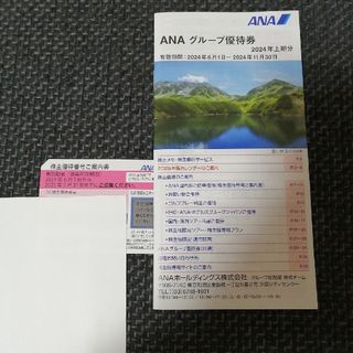 エーエヌエー(ゼンニッポンクウユ)(ANA(全日本空輸))のANA 株主優待券 1枚(ショッピング)