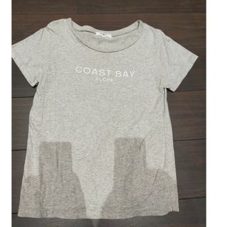 エヌナチュラルビューティーベーシック(N.Natural beauty basic)のグレー　半袖Tシャツ　М(Tシャツ(半袖/袖なし))