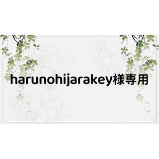 harunohijarakey様専用ページ(しおり/ステッカー)