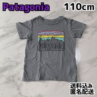 パタゴニア(patagonia)のPatagonia パタゴニア キッズ Tシャツ 110cm(Tシャツ/カットソー)