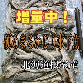 珍味 硬めまるかじり氷下魚（こまい）北海道根室産　別名：寒海（かんかい）(乾物)