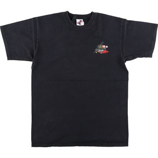 古着 サンタクルーズ SANTA CRUZ バックプリント サーフ スケートTシャツ メンズM /eaa450599(Tシャツ/カットソー(半袖/袖なし))