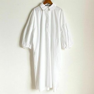 Theory luxe - セオリーリュクス　Classic Shirting Leop