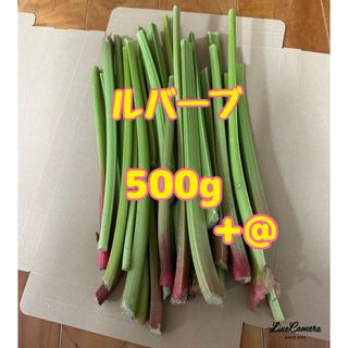 ルバーブ　500g(野菜)