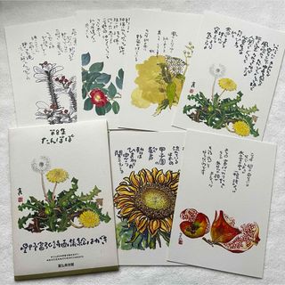 星野富弘　絵はがき　セット(その他)