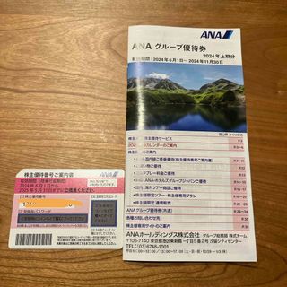 エーエヌエー(ゼンニッポンクウユ)(ANA(全日本空輸))のANA 株主優待券 1枚&割引冊子1冊(航空券)