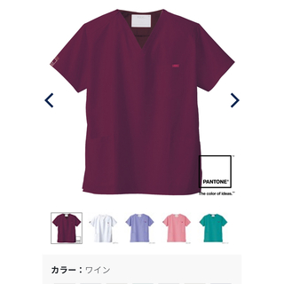 パントーン(PANTONE)のpantone スクラブ(Tシャツ(半袖/袖なし))